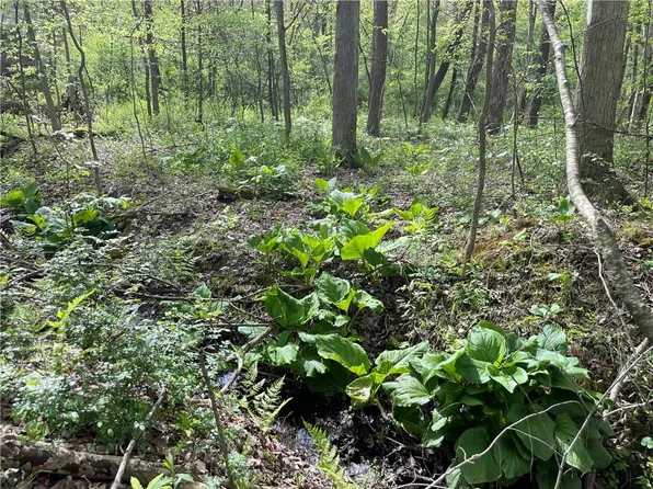 0 Conneaut Lake Rd, Greenville, PA 16125