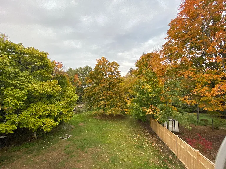 Backyard.