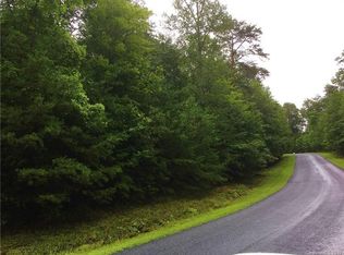 003 S Cove Rd #3, Mill Spring, NC 28756