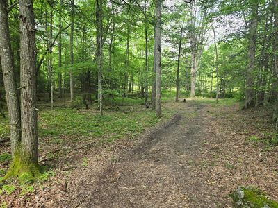 Poor Valley Rd, Ceres, VA, 24318