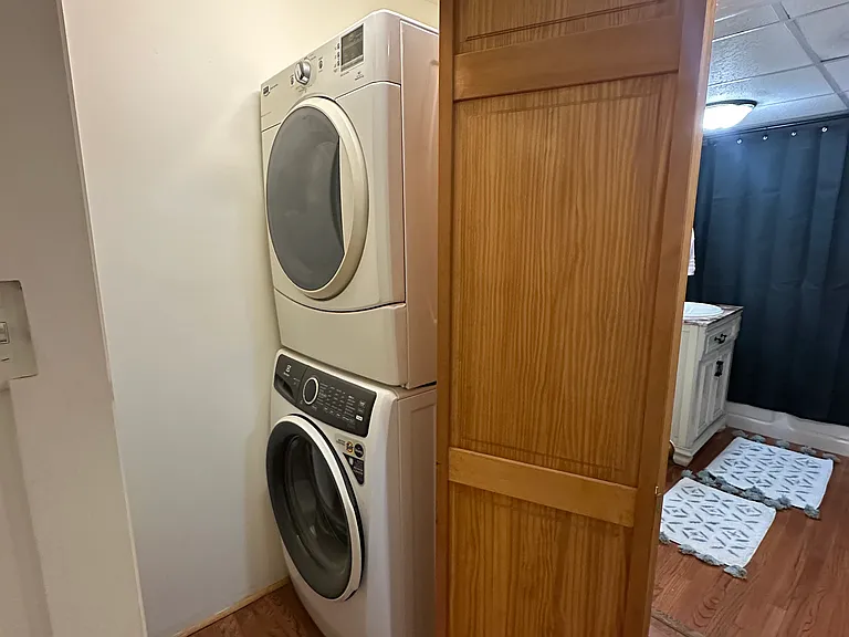 300 Lark St #BASEMENT — Photo 13