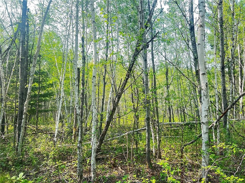 Lot 12 25 1/2 Street, Chetek, WI 54728 MLS 1573334 Zillow