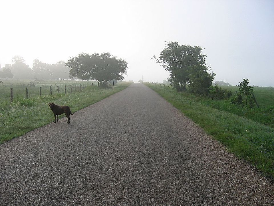 County Road 218