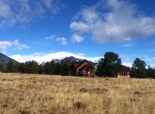 13590 County Road 261l, Nathrop, CO 81236