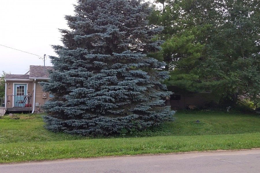 1st image of 141 Center Ave N