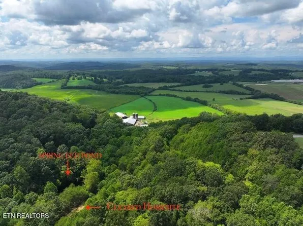 782 County Road 279 Lot 1, Niota, TN 37826