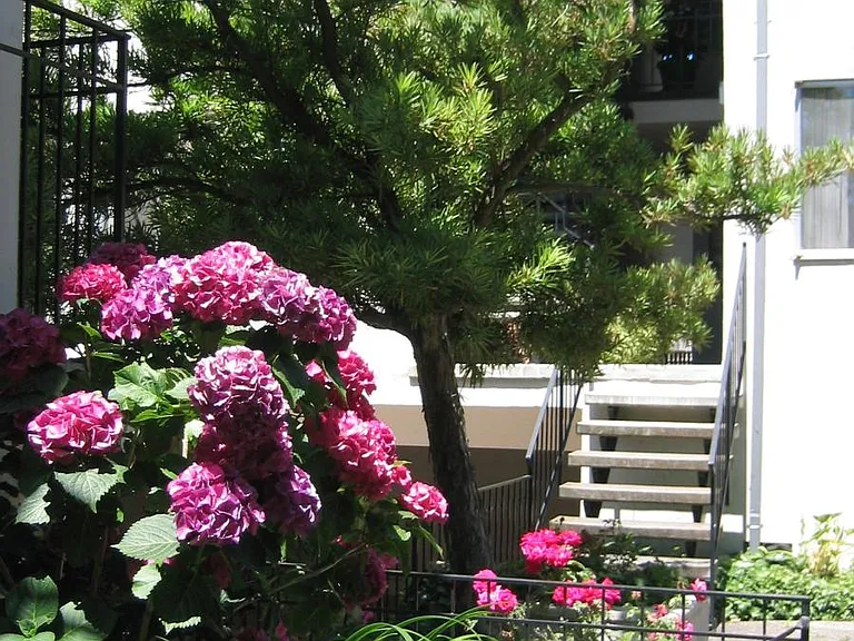 837 Cowper St #M — Photo 31