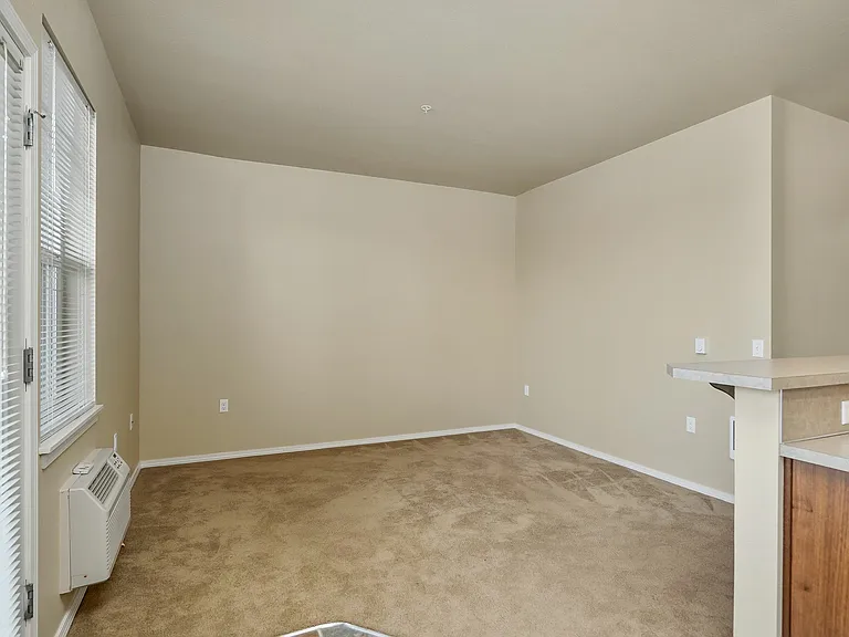 Springbrook Ridge Apartments — Photo 14