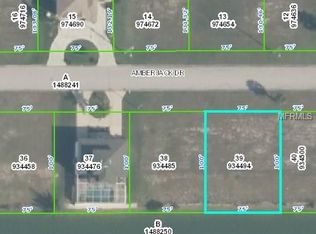 LOT39 Amberjack Dr, Hernando Beach, FL 34607