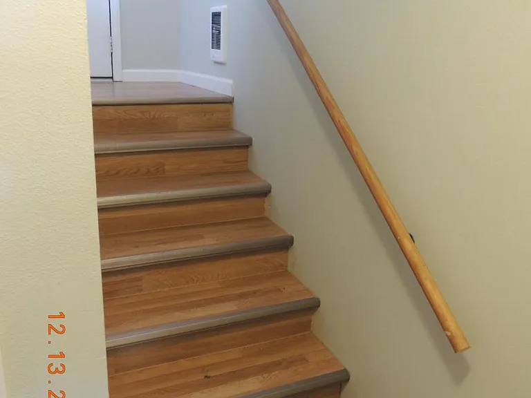STEPS