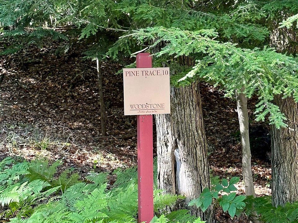 10 Pine Trce, Glen Arbor, MI 49636 MLS 1914638 Zillow