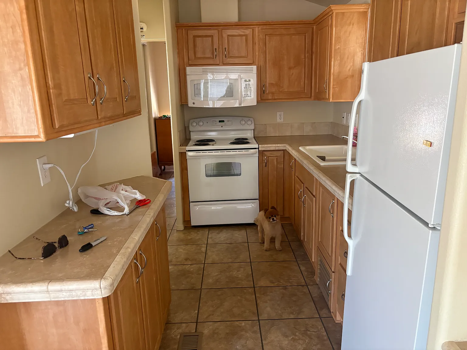 1 bed, 375 sqft, $1,400 — Photo 4