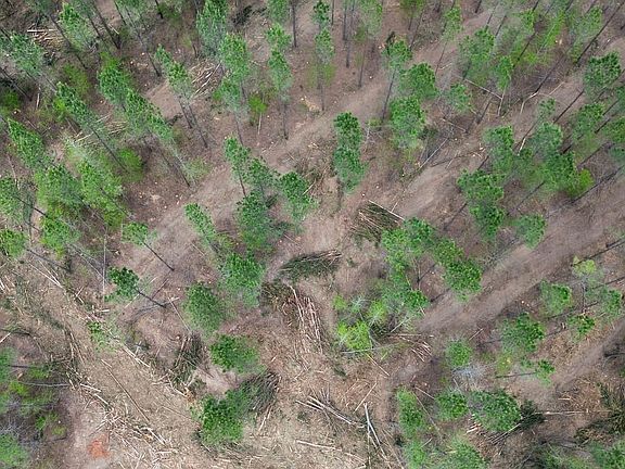 Dji Fly 20260331 144454 551 1774983344406 Photo Optimized