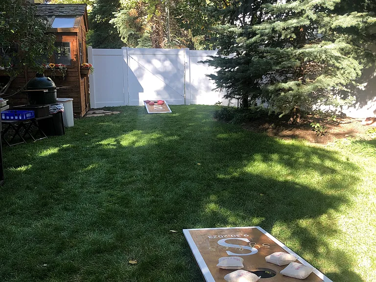 Lush backyard
