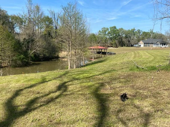 Lot # 2 Rose Lndg, Cobb, GA 31735