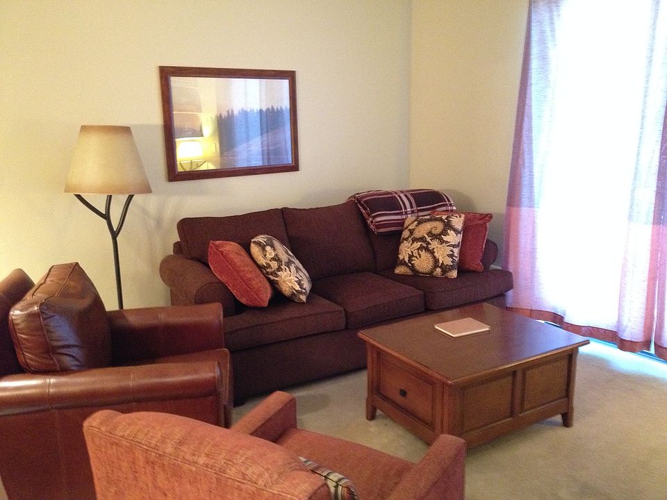 Sleeper sofa in living room