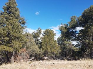 99 Dead Log Ln, Cotopaxi, CO 81223