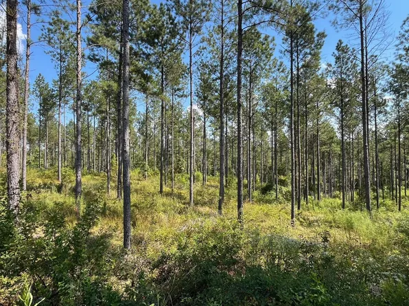 Bethlehem Rd, Equality, AL 36026