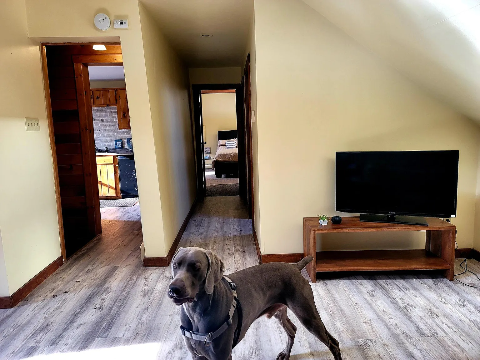 41R Highland Ave — Photo 3