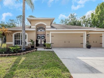 4604 PURPLE TIGER COURT, Lutz, FL, 33558