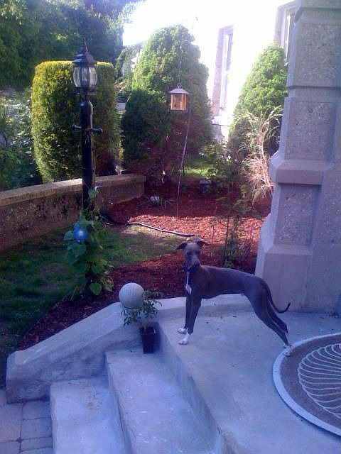 Private entrance