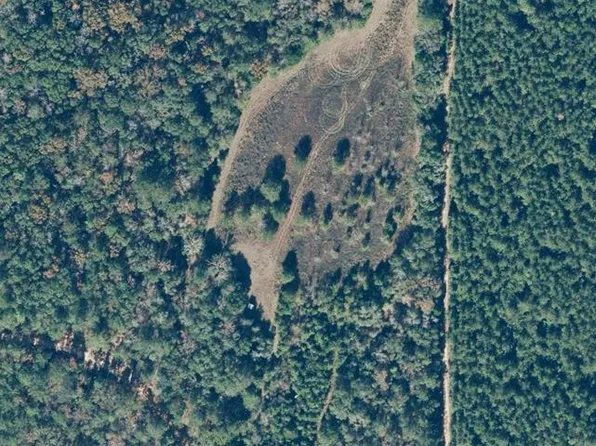 0 McLeod Rd, Luverne, AL 36049