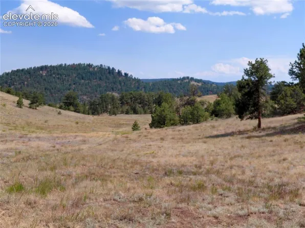 TRACT 70 Owls Nest Rd, Guffey, CO 80820