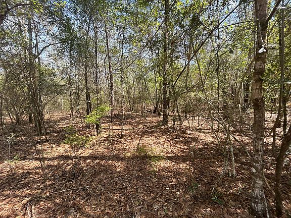 4th image of X Haskins Rd