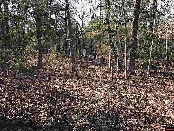 3rd image of 388 County Road 537