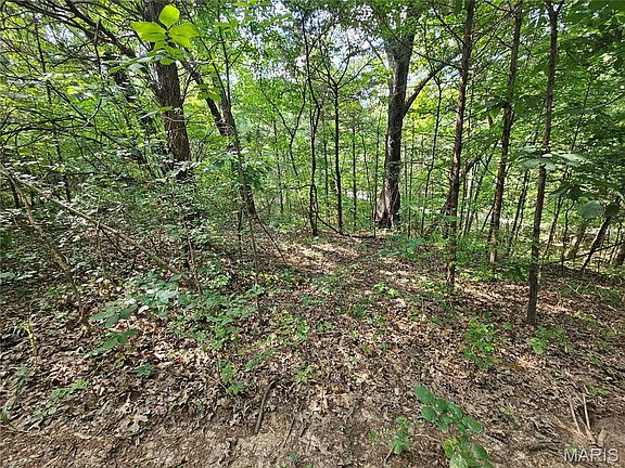 2nd image of 9468 Bent Tree Dr
