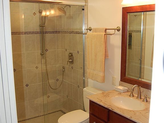 Master Bathroom Shower
