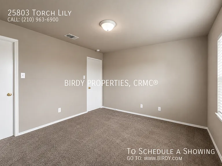 25803 Torch Lily — Photo 37