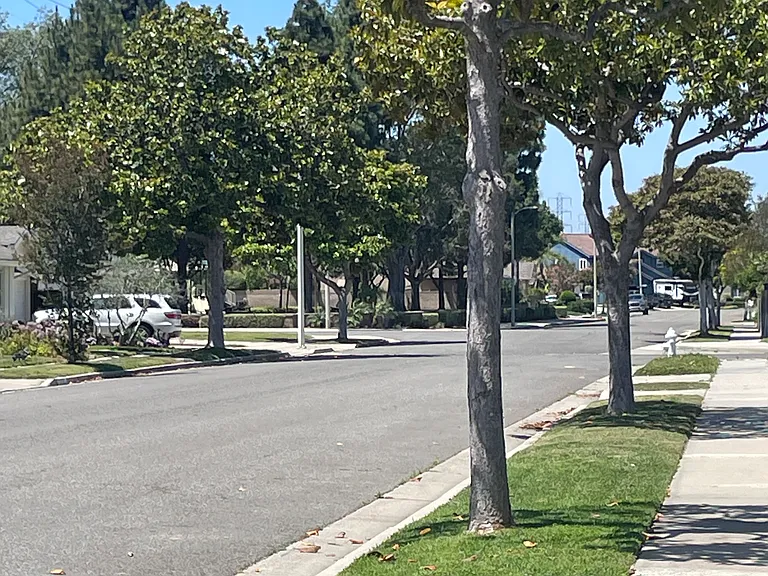Harper Park from driveway