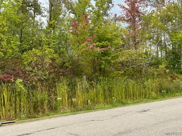 Eisenhower Ave #42, Angola, NY 14006