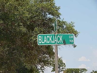 4th image of 7529 Blackjack Cir