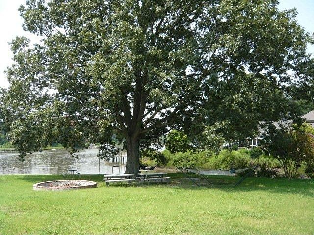 backyard view