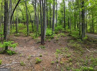 TRACT 3C Riverside Dr, Hiawassee, GA 30546