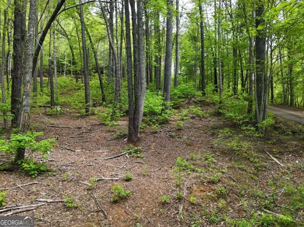 TRACT 3C Riverside Dr, Hiawassee, GA 30546