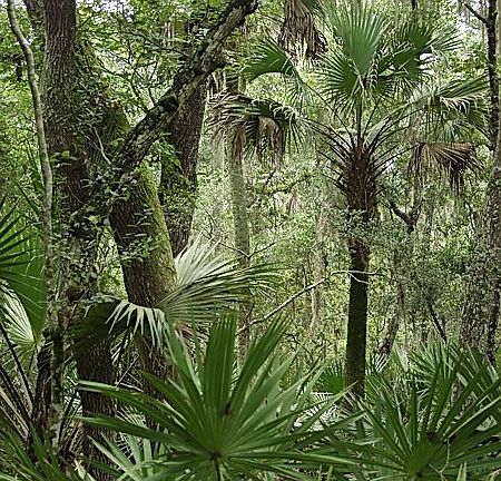 4th image of Rio Paz Trce