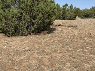 58795 Rana Rd LOT 5251, Seligman, AZ 86337