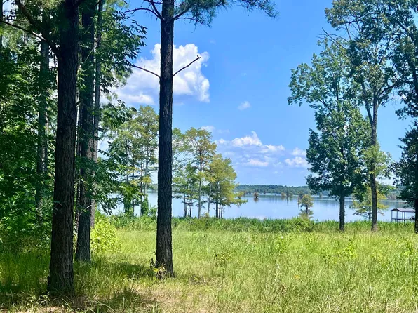 4 Eagle Brook Dr, Lewisville, AR 71845