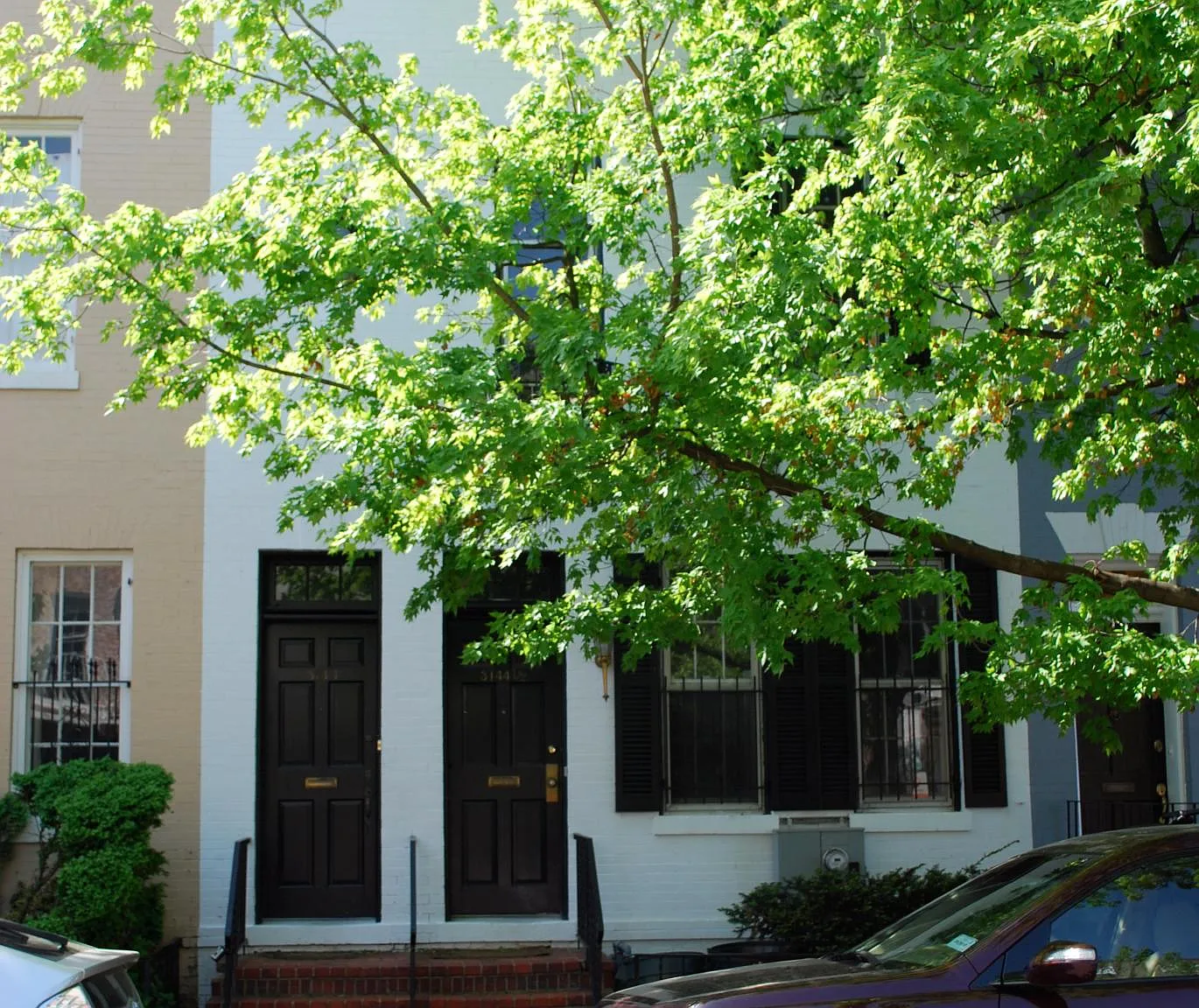 2 bed, 1200 sqft, $4,000 — Photo 1
