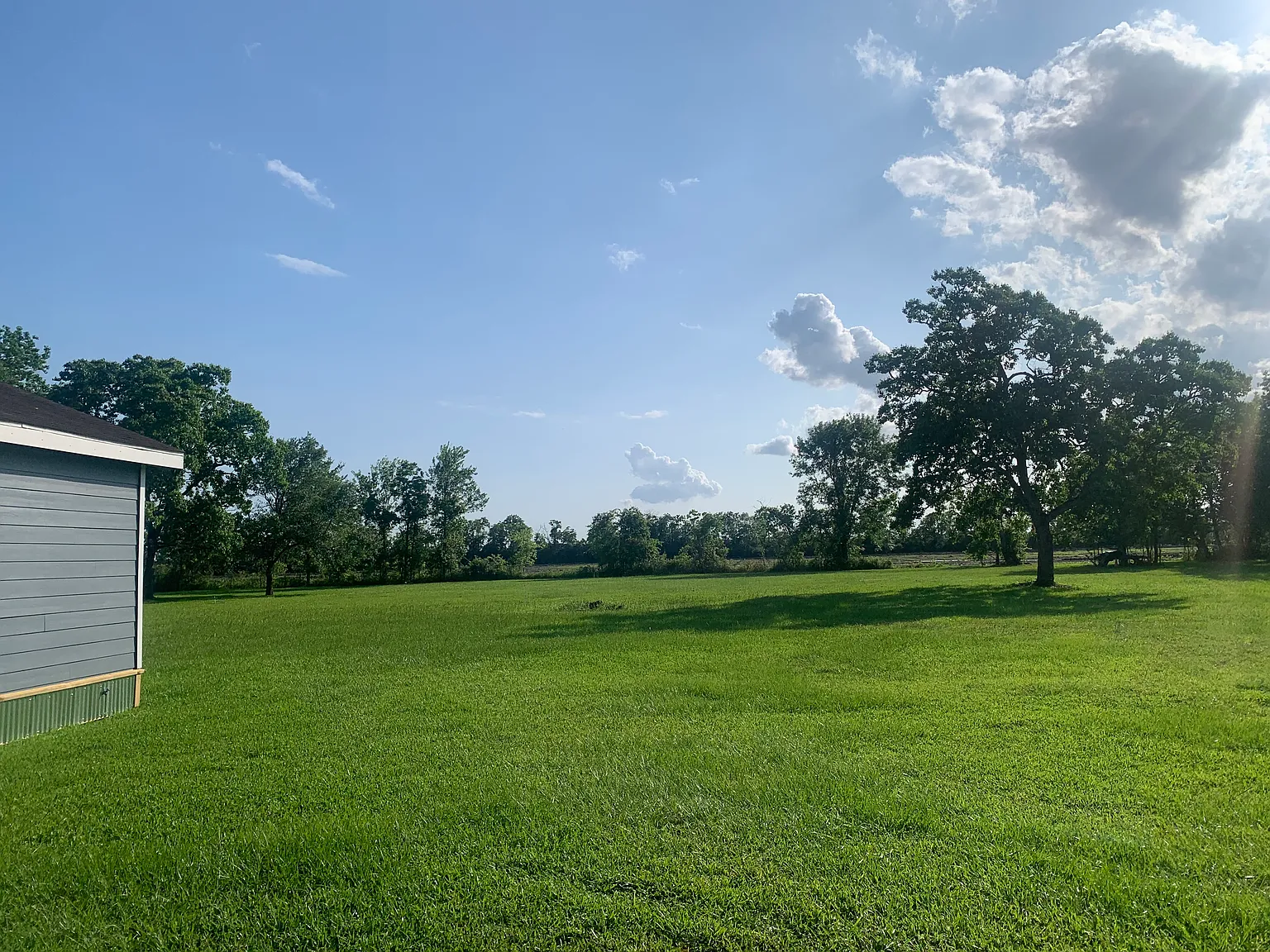 1 bed, 768 sqft, $1,200 — Photo 4
