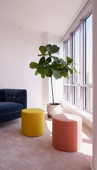 160 Madison Ave #43B — Photo 5