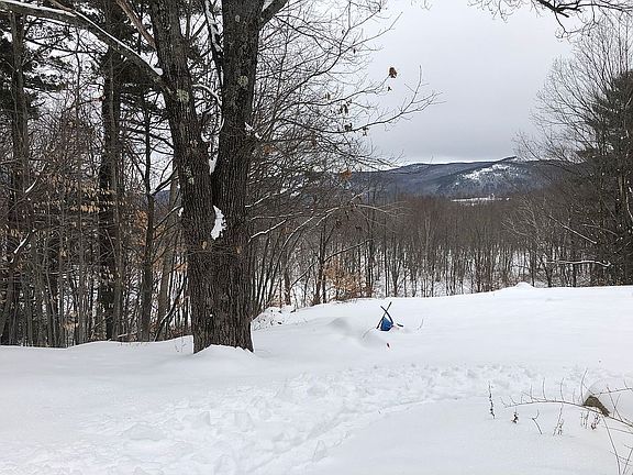 Winter views.