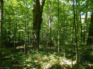 Mosher Rd, Wellington, OH 44090