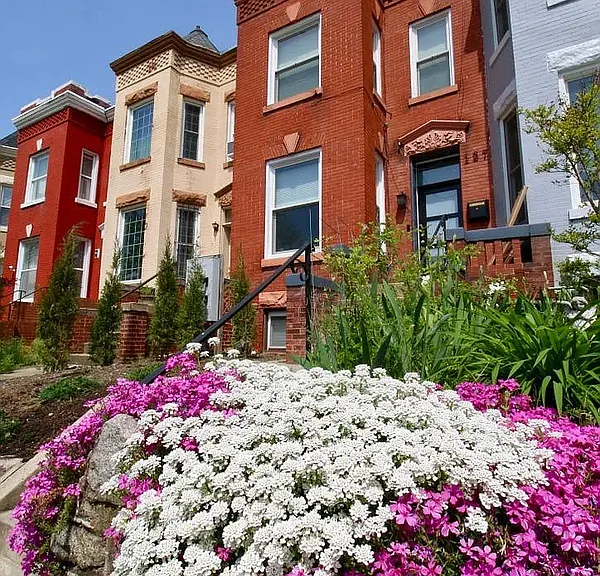 127 Adams St NW #B — Photo 13