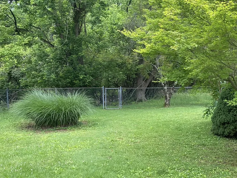 Rear Yard
