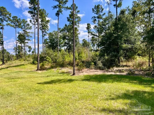 33 Morgan Ln, Molino, FL 32577