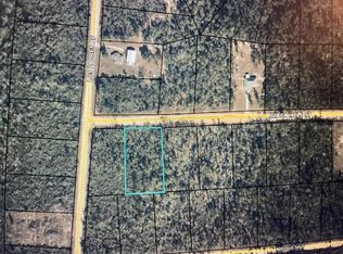 Black Hills St LOT 11, Alford, FL 32420
